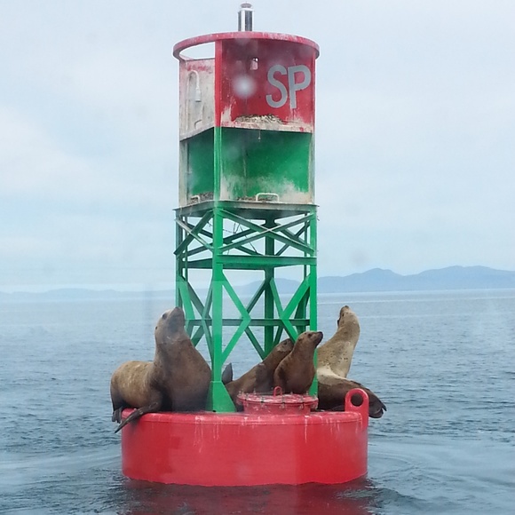 Boho loving hippie - Picture 2 of 2